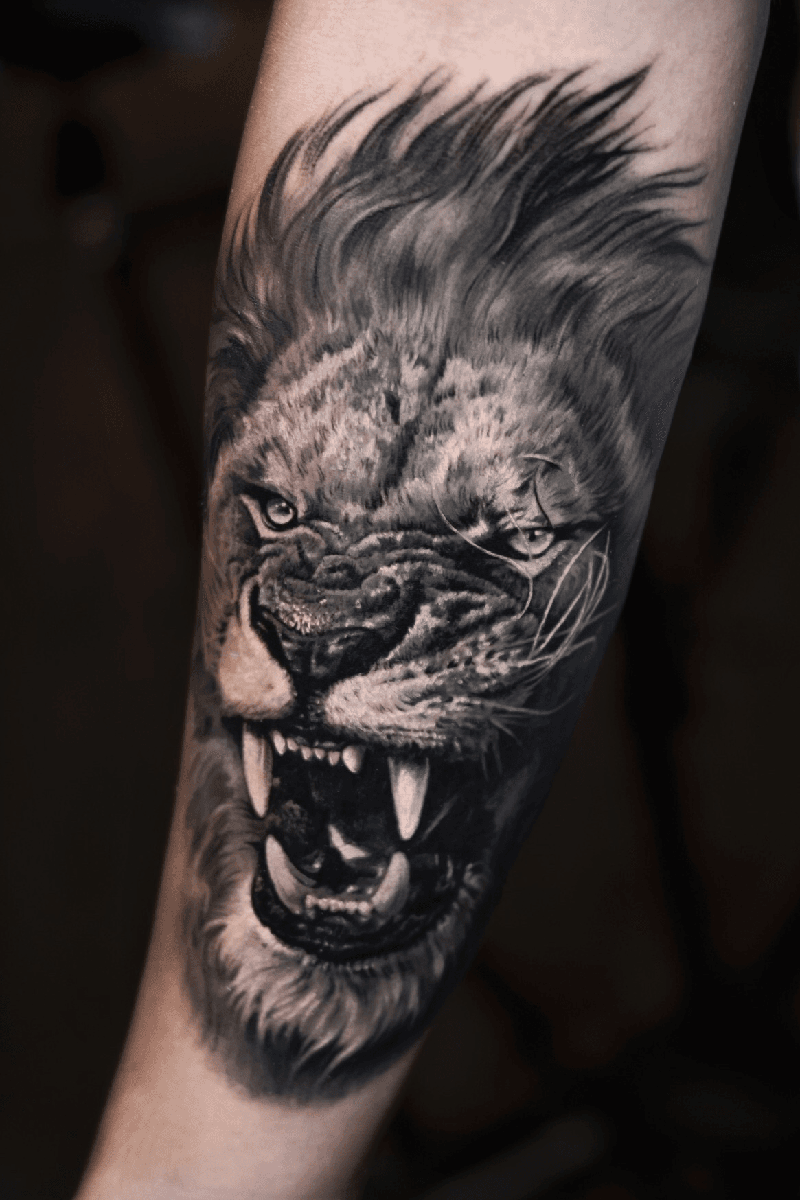 17 Powerful Lion Tattoo Designs For Men And Women  Tikli