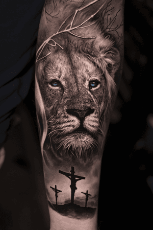 www.josecontrerasart.com - #lion #king #joseecd #josecontrerasart #josecontreras #denton #dallas #texas #tattooideas #tattoo #bng #inked 