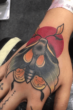 Neotraditional coveruo moth on hand 