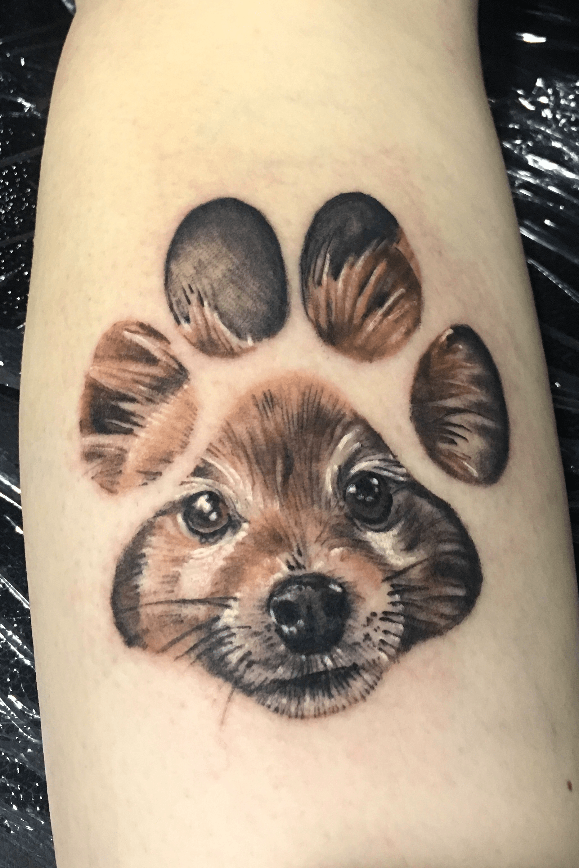 real dog paw print tattoos