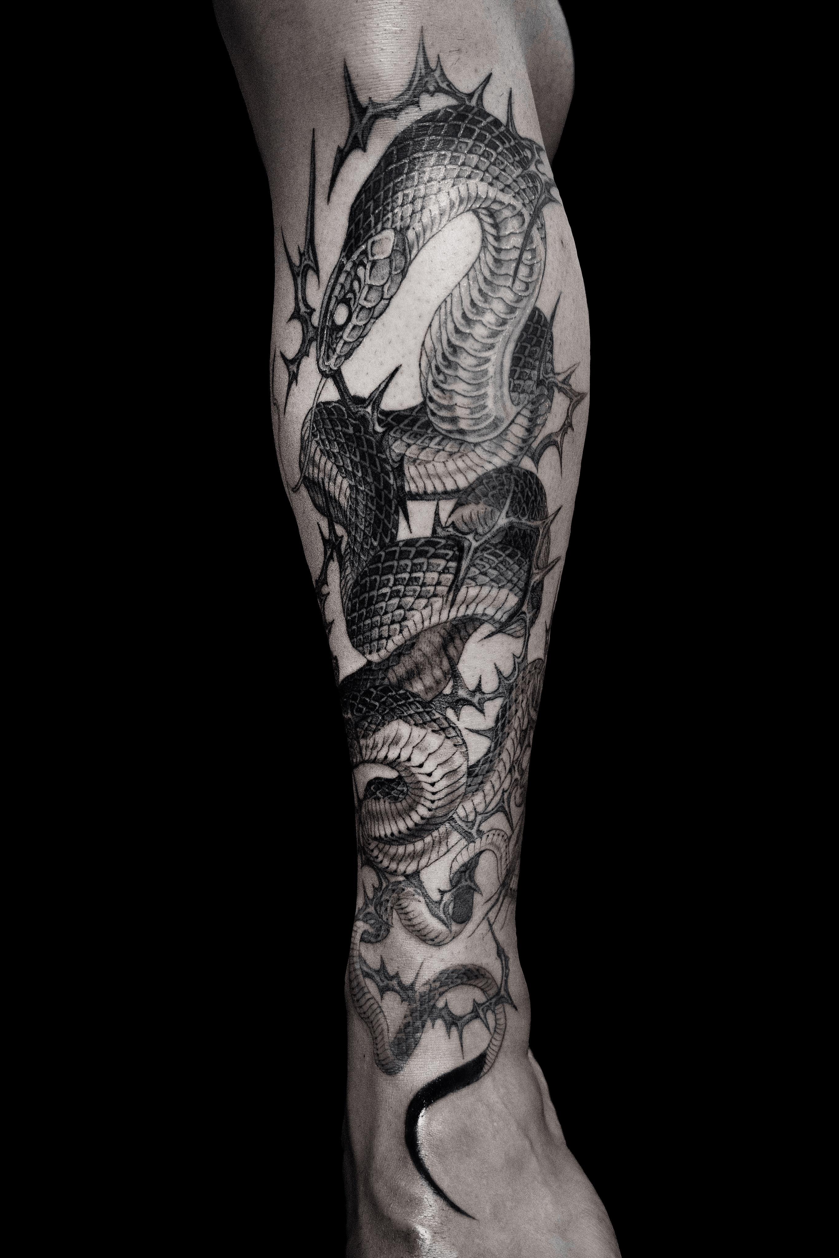 Black Mamba Tattoo by Stefano Alcantara TattooNOW