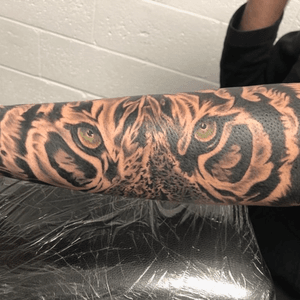 Look at this bad boy 🐯🐯🐯🐯done by Tattoo Artist Harman. What do you guys think?For appointments-Message us directly on Facebook -Call now on +64 22 529 1500-Email us on info@gargoyletattoos.co.nz-Click on the below linkhttps://www.gargoyletattoos.co.nz/contact-us/Web Address: https://www.gargoyletattoos.co.nzInstagram:https://instagram.com/gargoyletattoosFacebook:https://www.facebook.com/gargoyletattoostudio#tattooideas #tatts #tat #tattooparlour #tattooparlourauckland #tattooshop #tattooshopauckland #aucklandcentral #auckland #aucklandtattoo #tattooauckland #tattooartistauckland #tattoos #tattoo #tattooartist #gargoyletattoostudio #tattoomachine #tattoolovers #tattoostyle #animaltattoo #tiger #tigertattoo #animal #wildtattoo #instadaily #insta #instagram #girlstattoo #instamag #tattoolove