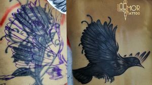 🇱🇧For appointments : 71548042#coverup #coveruptattoo #feather #feathertattoo #tattoo #bird #birdtattoo 