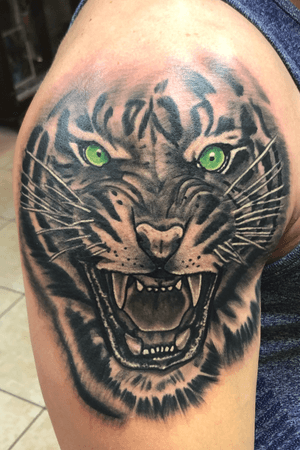 Tiger, black and grey, realism