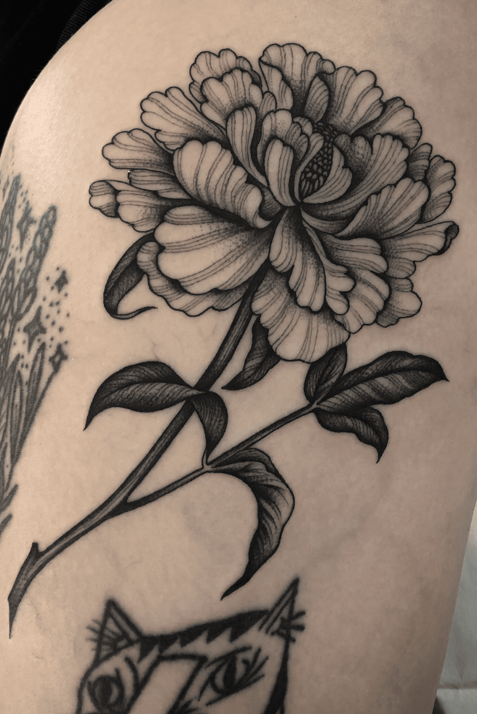 DIGITAL FILE Sunflower and Carnation Tattoo Design  Etsy