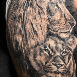 Tattoo uploaded by Tatuajes Ofrenda De Sangre • Leones • Tattoodo