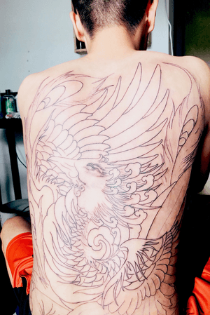 Phoenix tattoo line only 3rl