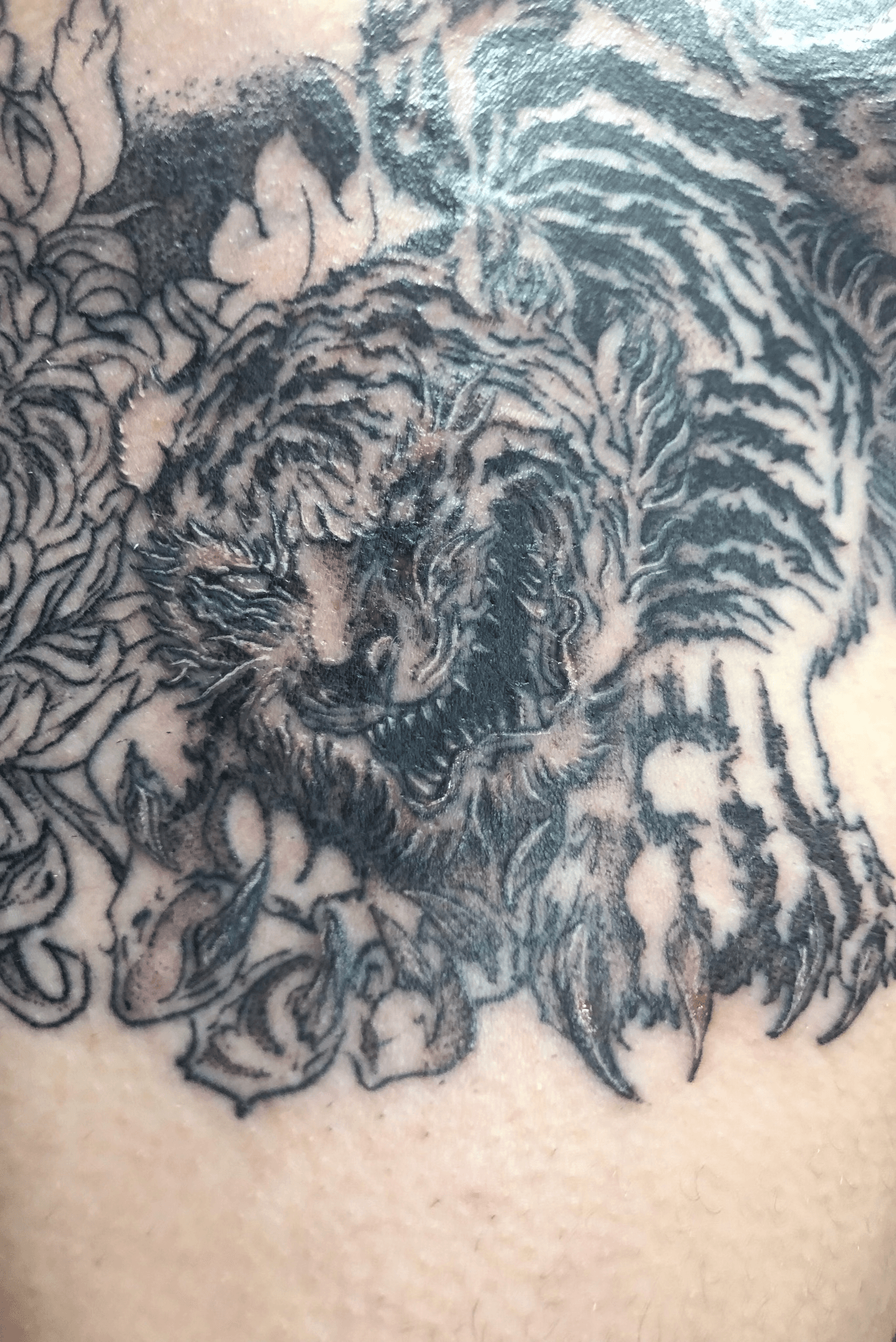 UPDATED 40 Majestic Japanese Tiger Tattoo Designs