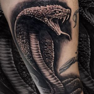 #cobra #cobratattoo #snake #snaketattoo #realistictattoo #animaltattoo #blackandwhite #blackandwhitetattoo #ink #tattoo #wientattoo #viennatattoo #forearmtattoo  #coveruptattoo #coverup