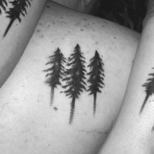 Sibling tattoo with my Brother and Sister. 3 trees symbolizing family, prosperity, strength, and love.