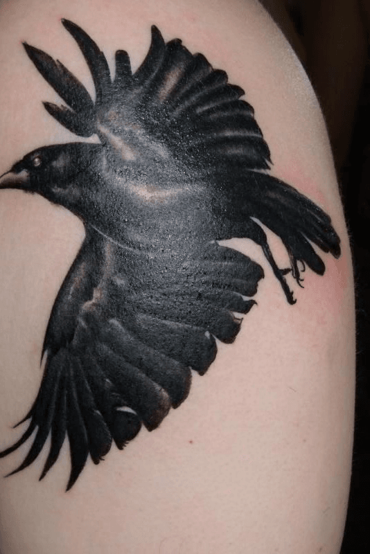 raven bird flying tattoo