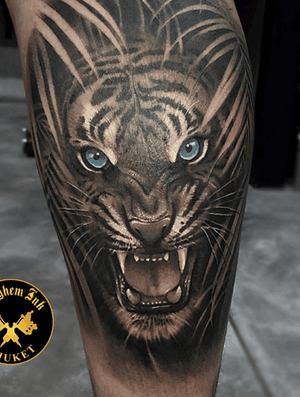 Very nice tiger with colour eyes done 