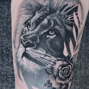 westend.tattoo_wien #tattoo #wientattoos #tattoovienna #wienwestendtattoo #liontattoo #portraittattoo #blackandwhitetattoo #realismtattoo #rosetattoo#handtattoo #bangtattoo #lionhead #animallove #