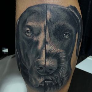 @westend.tattoo_wien#wienwestendtattoo #wientattoos #viennatattoo #tattoos #dogfacetattoo #dogportraittattoo #hornyakjozseftattooartist #hundtattoo
