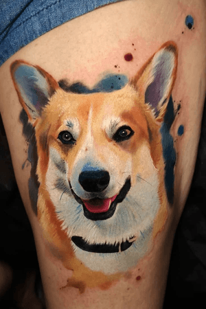 Color dog portrait 