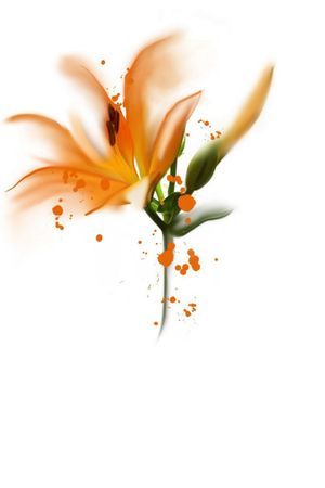 Beautiful watercolor lily, would look stunning on the forearm.