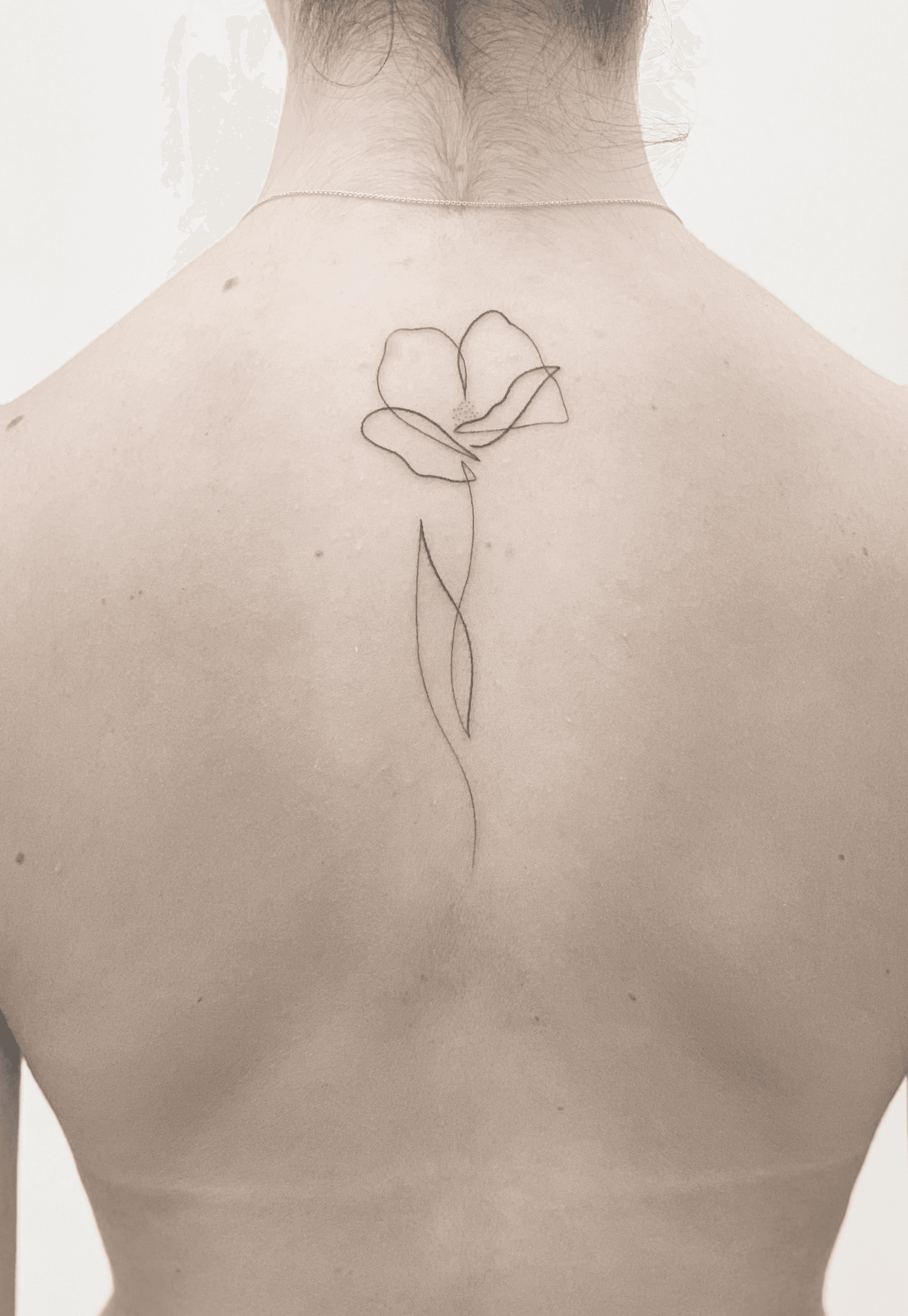 Small fine line poppy outline temporary tattoo designed