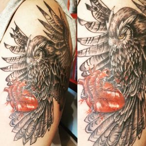 Realistic / Stylised Owl Cover-Up Tattoo - Part 2 #Owl #OwlTattoo #HumanHeart #CoverUp #CoverUpTattoo #Animal #AnimalTattoo #WildlifeTattoo 