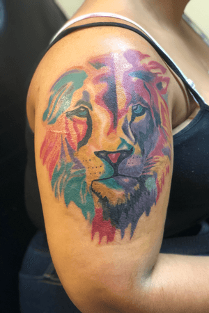 Multicolor Lion 