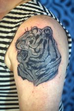 Tiger cover up 