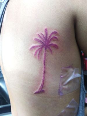 #palmtree #palmera #pink #rosa 