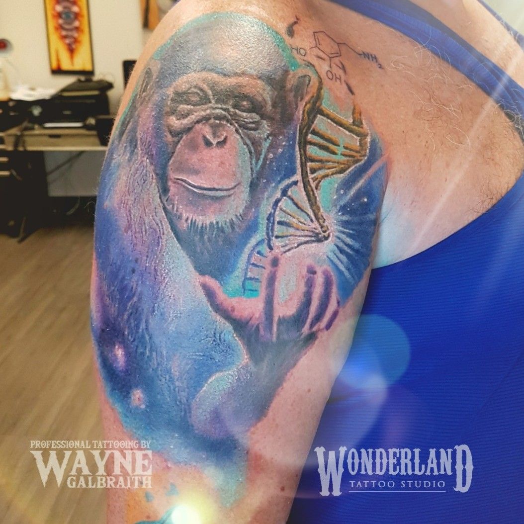 The Monkey Business Tattoo Shop  Desenzano del Garda Lombardia