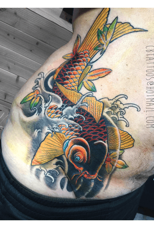 Koi cover up