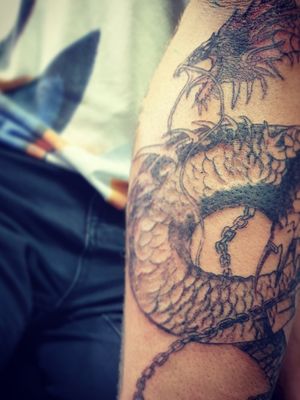 Process: session 1 from forearm dragon