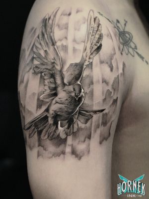 Dove flying under holy lightsCustom and done by me
