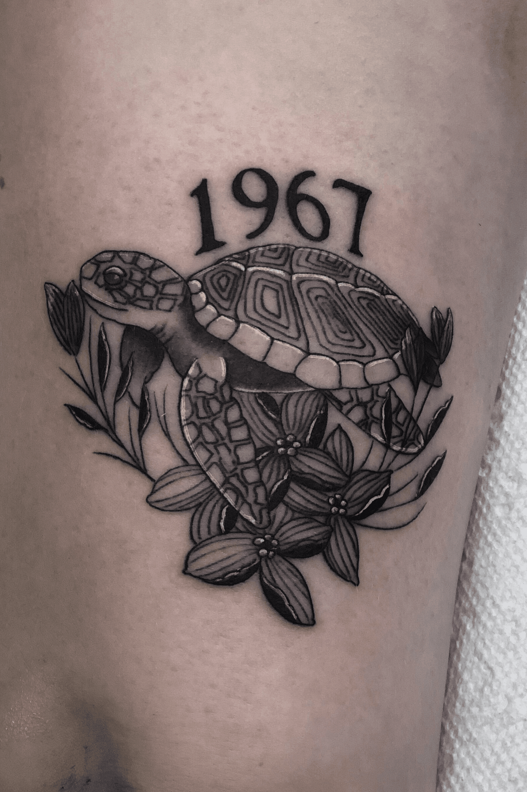 Explore the 48 Best turtle Tattoo Ideas 2017  Tattoodo
