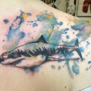 Watercolour shark