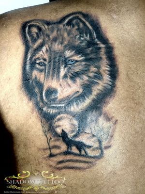 Black grey wolf tattoo cover up