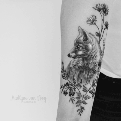 Small fox 🦊