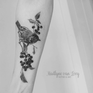 Small charity Tattoo for the silent forest camapign