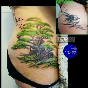 Tree and birds - cover up of a tribal tattoo