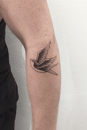 Swallow bird thin lines old school style