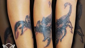 "Scorpion Tattoo"