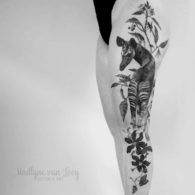 Okapi on a women‘s leg ❤️ - cause they are my favorites