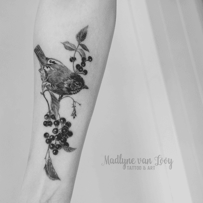 Small charity tattoo for the silent forest campaign 