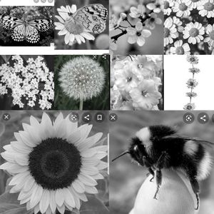 These are just some of the aspects of the bunny flower tattoo I want on my forearm, I'm wanting it all in black and white and I want the flowers bees and butterflies to be in a sort of garland with the bunny coming out the middle of it 