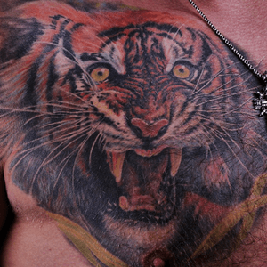 #realistic #color #animal #tiger #moscow 