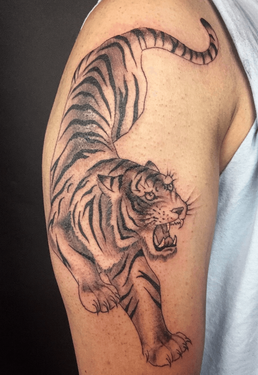 192 Me gusta 2 comentarios  Truly Yours trulyyourstattoo en Instagram  Crawling Tiger done  Traditional tiger tattoo Tiger tattoo Traditional  style tattoo