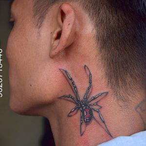 3d realistic Spider tattoo on neck done at Kinglines Tattoo Studio