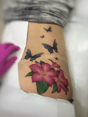 Rosa do deserto e borboletas