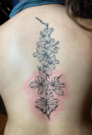 Gladiolus bunch on the spine, follow me on Instagram @ileyva_sfc