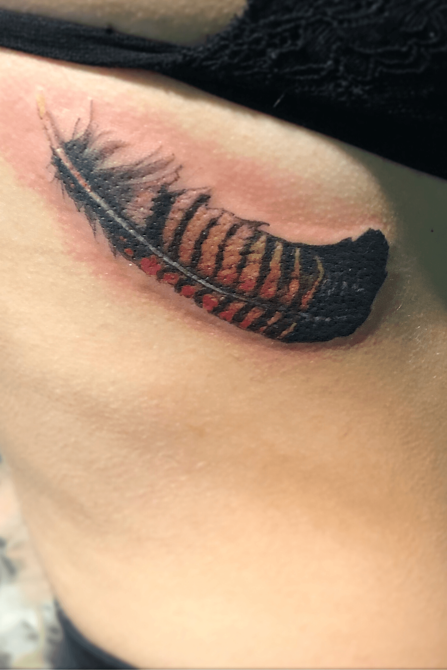 Hawk Feather tattoo from Ron Nelson at Mission Ink in Santa Cruz  Feather  tattoo colour Feather tattoos Indian feather tattoos