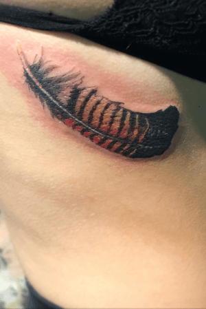 Red tailed black cockatoo feather #feather #feathertattoo #colourrealism 