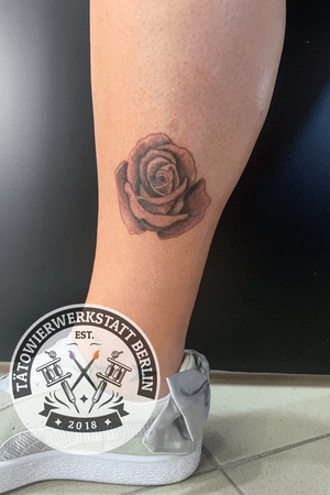 First one of 4-5 roses on a leg. 