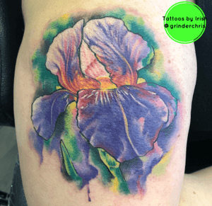 Watercolor iris