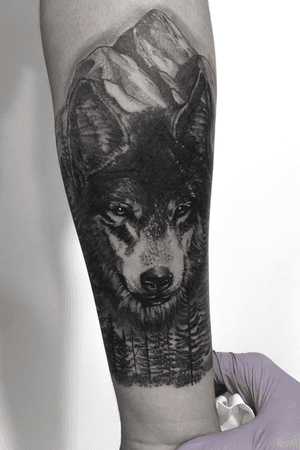 Wolf cover up #realism #blackandgray #wolftattoo #bogota